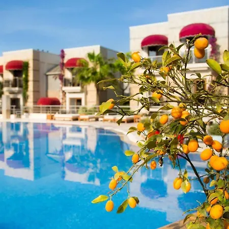 보드리움 오텔 앤 유 스파 4* Bodrum