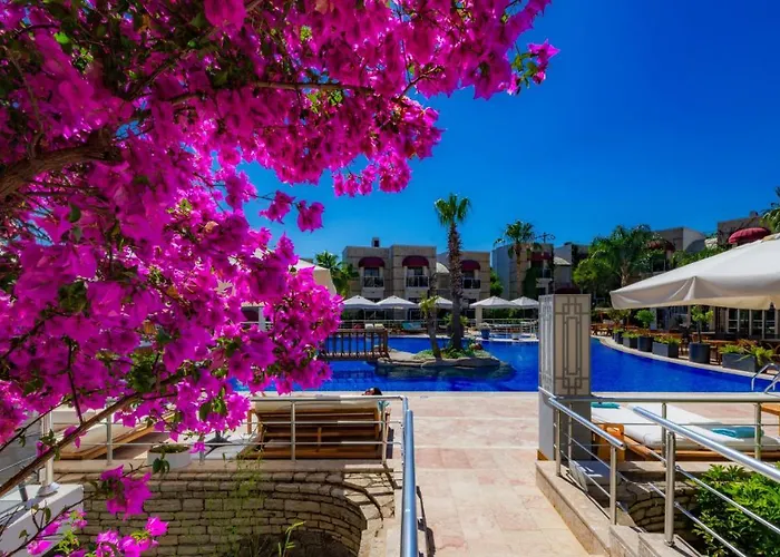 Bodrium Hotel&spa 3*