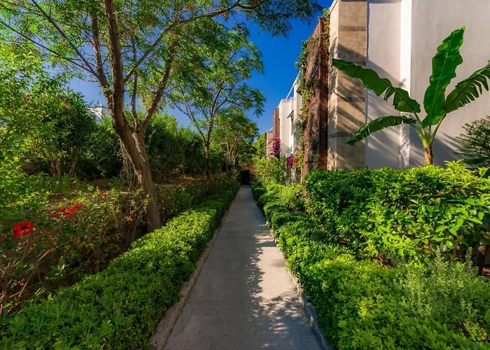 ホテル Bodrium & 3*