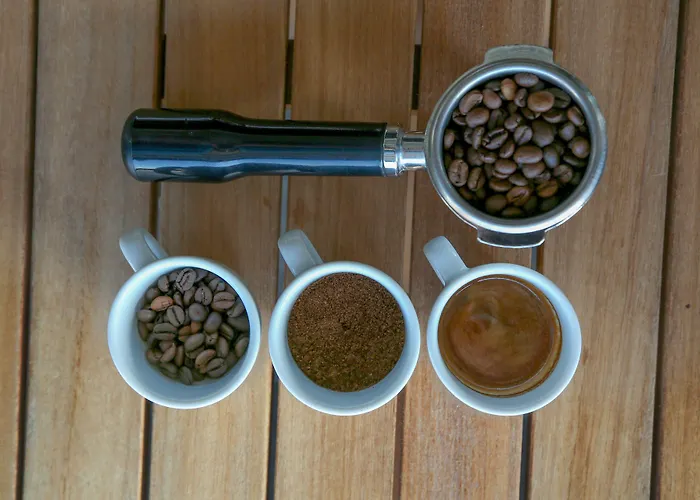 Bodrium & 3* ボドルム